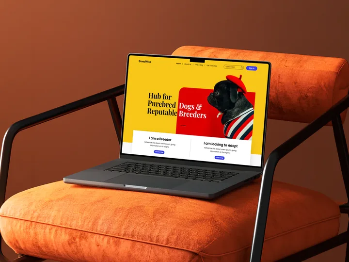Web Design & Development work by PitchWorx