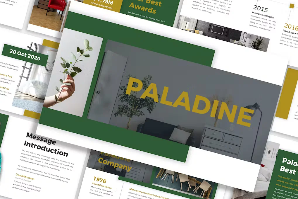 paladine-business-google-slides-01